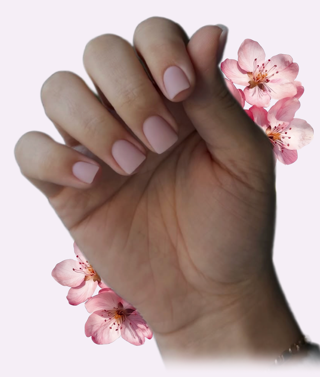 Manichiură Lavyen Salon